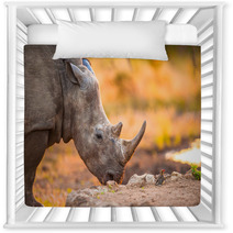 Rhino And Tiny Bird Nursery Decor 47106983