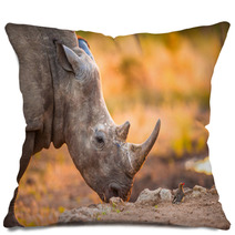 Rhino And Tiny Bird Pillows 47106983