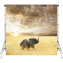 Rhino Backdrops 28038828