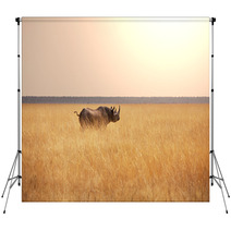 Rhino Backdrops 49424558