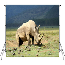 Rhino Backdrops 64545782