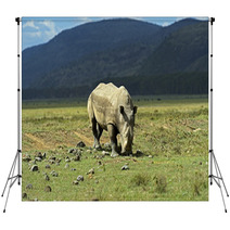 Rhino Backdrops 68442458