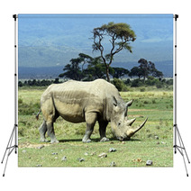 Rhino Backdrops 68442485