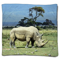 Rhino Blankets 68442485