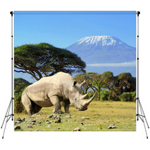 Rhino In Front Of Kilimanjaro Mountain Backdrops 64545779