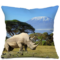 Rhino In Front Of Kilimanjaro Mountain Pillows 64545779