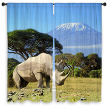 Rhino In Front Of Kilimanjaro Mountain Window Curtains 64545779