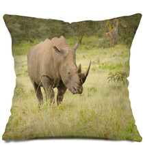 Rhino On African Grasslands Pillows 58393197