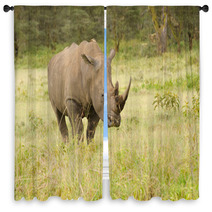 Rhino On African Grasslands Window Curtains 58393197