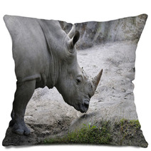 Rhino Pillows 61937674