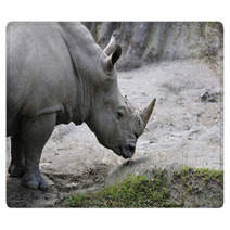 Rhino Rugs 61937674