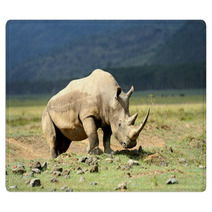 Rhino Rugs 64545782