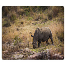 Rhino Rugs 66216422