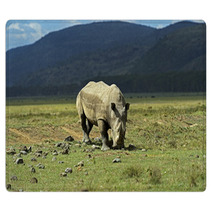 Rhino Rugs 68442458
