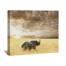 Rhino Wall Art 28038828