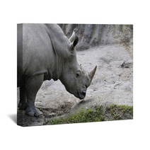 Rhino Wall Art 61937674
