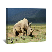 Rhino Wall Art 64545782