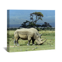 Rhino Wall Art 68442485