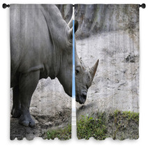 Rhino Window Curtains 61937674