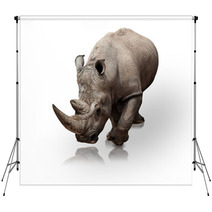 Rhinoceros Backdrops 34109125