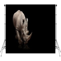 Rhinoceros Backdrops 36364186
