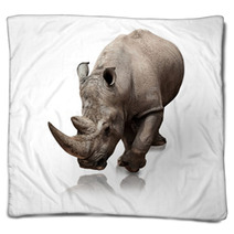Rhinoceros Blankets 34109125