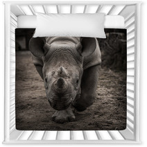 Rhinoceros Facing The Camera Nursery Decor 61603318