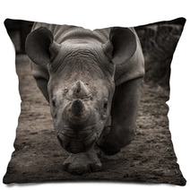 Rhinoceros Facing The Camera Pillows 61603318