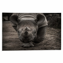 Rhinoceros Facing The Camera Rugs 61603318