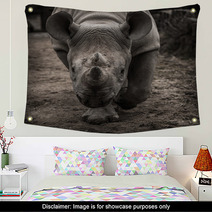 Rhinoceros Facing The Camera Wall Art 61603318