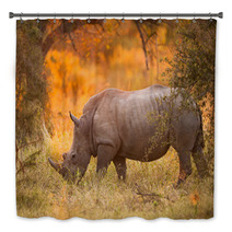 Rhinoceros In Late Afternoon Bath Decor 46566724