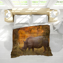 Rhinoceros In Late Afternoon Bedding 46566724
