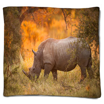 Rhinoceros In Late Afternoon Blankets 46566724