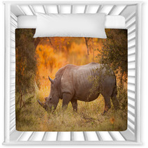 Rhinoceros In Late Afternoon Nursery Decor 46566724