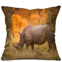 Rhinoceros In Late Afternoon Pillows 46566724