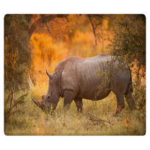 Rhinoceros In Late Afternoon Rugs 46566724