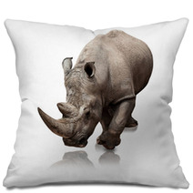 Rhinoceros Pillows 34109125