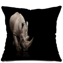 Rhinoceros Pillows 36364186