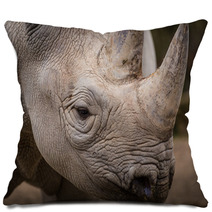 Rhinoceros Pillows 61614755