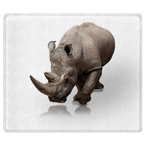 Rhinoceros Rugs 34109125
