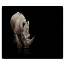 Rhinoceros Rugs 36364186