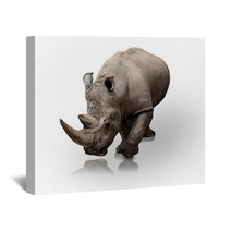 Rhinoceros Wall Art 34109125
