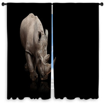Rhinoceros Window Curtains 36364186