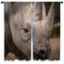 Rhinoceros Window Curtains 61614755
