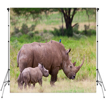 Rhinoceros With Her Baby, Lake Nakuru, Kenya Backdrops 46854381