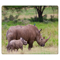 Rhinoceros With Her Baby, Lake Nakuru, Kenya Rugs 46854381