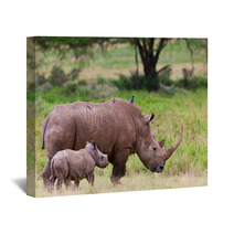 Rhinoceros With Her Baby, Lake Nakuru, Kenya Wall Art 46854381