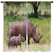 Rhinoceros With Her Baby, Lake Nakuru, Kenya Window Curtains 46854381