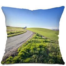 Road In The Fields Pillows 47539684