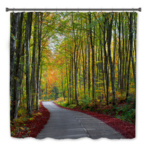 Road In The Forest In Autumn Fall Colors Bath Decor 62919606